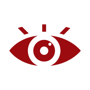 Vision